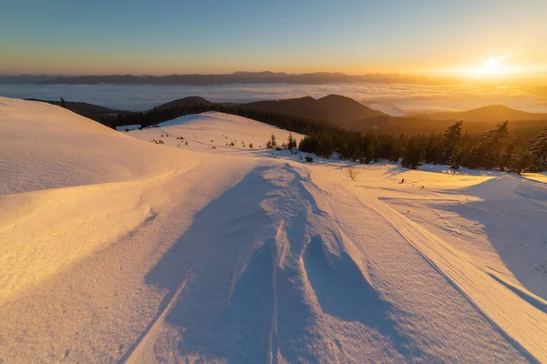 Invierno Las Montañas Los Cárpatos Ucranianos Con Nieblas Matutinas — Foto de Stock