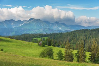 Yaz mevsiminde Polonya Lisesi Tatras 'ta dağ göllerinin yakınında yürüyen bir turist kızla..