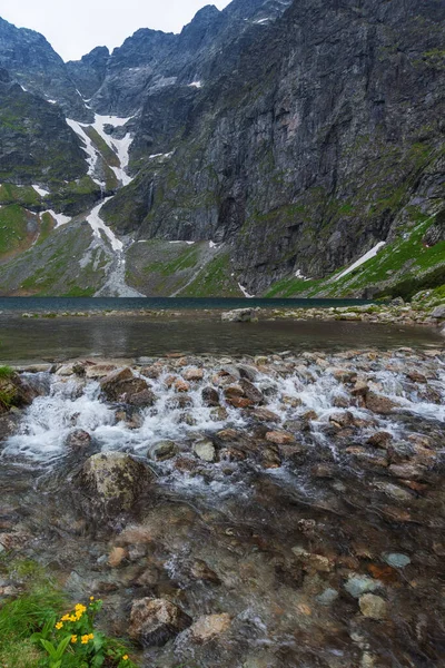Verano Los Altos Tatras Polacos Con Una Chica Turística Caminando —  Fotos de Stock