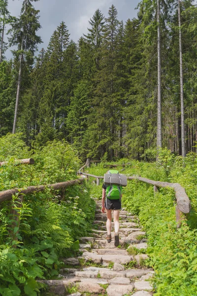 Verão Polonês High Tatras Com Uma Garota Turística Andando Perto — Fotografia de Stock