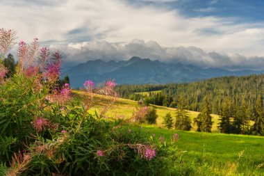 Summer landscapes of the High Tatras Mountains with beautiful views of lakes and mountain houses clipart
