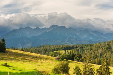 Yüksek Tatras Dağları 'nın güzel göl ve dağ evleri manzaralı yaz manzaraları.