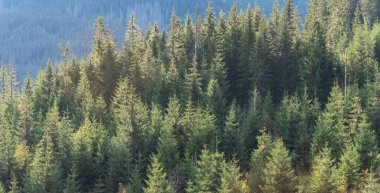 Dağın arka planında bir turistle manzaralar ve akşam aydınlatmalı göller.