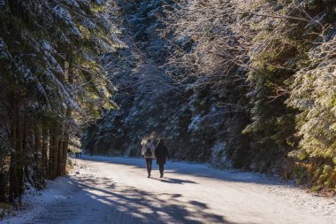 High Tatras 'ta sonbahar ve kış yollarda