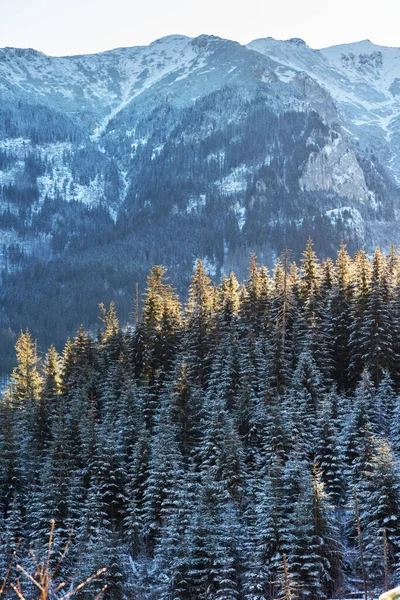 冬季山景的垂直图像 — 图库照片