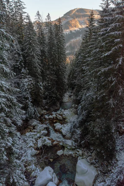 Imagen Vertical Del Paisaje Montañoso Invierno —  Fotos de Stock