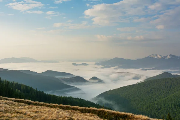 Hermoso Amanecer Las Montañas Cárpatos Con Niebla Cielo Dramático —  Fotos de Stock