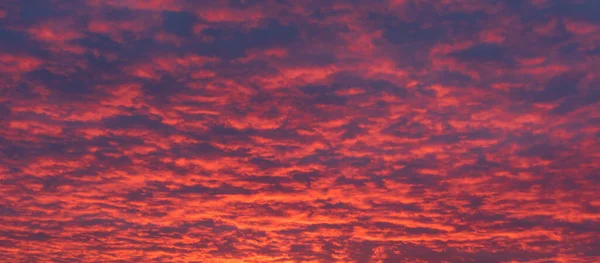Вид Небо Различными Состояниями Природы Рассвете Сумерках Драматическими Красными Облаками — стоковое фото