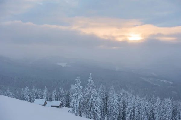 Maravilloso Invierno Las Montañas Los Cárpatos Ucrania Con Casas Cubiertas — Foto de Stock