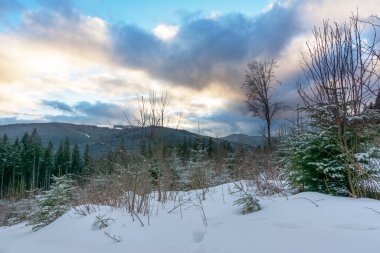 Karpatlar 'da kış, etkin bir tatil. Resimli evler ve bolca kar var..