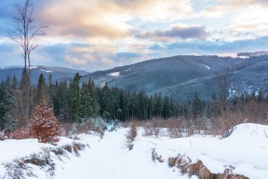 Karpatlar 'da kış, etkin bir tatil. Resimli evler ve bolca kar var..