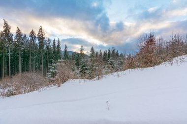 Karpatlar 'da kış, etkin bir tatil. Resimli evler ve bolca kar var..