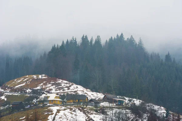 Zimowe Karpaty Pochmurną Pogodę Mglistymi Lasami — Zdjęcie stockowe