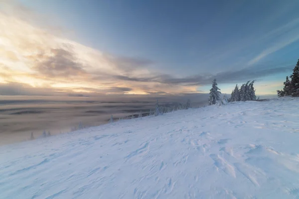 Invierno Los Cárpatos Ucranianos Con Hermosos Árboles Congelados Nieve — Foto de Stock