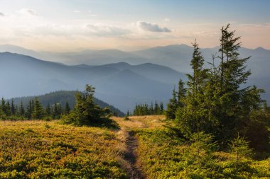 Ukrayna Karpat Dağları 'nın güzel yaz manzaraları