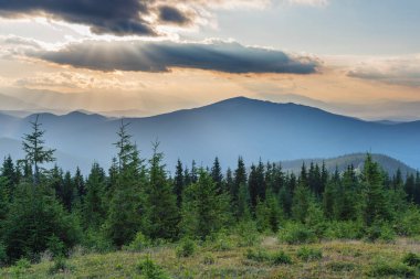 Ukrayna Karpat Dağları 'nın güzel yaz manzaraları