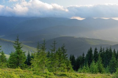 Ukrayna Karpat Dağları 'nın güzel yaz manzaraları