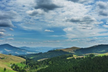 Ukrayna Karpat Dağları 'nın güzel yaz manzaraları