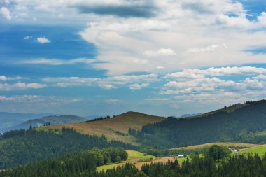 Ukrayna Karpat Dağları 'nın güzel yaz manzaraları