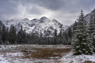 Polonya Yüksek Tatraları 'nda gölün arka planına karşı karla kaplı dağ zirveleri şeklinde kartpostallardaki görüntüler