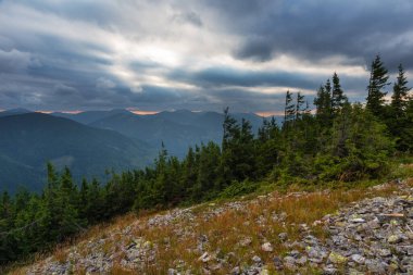 Gorgany 'de dramatik bir gökyüzü olan Ukrayna Karpatlarının güzel yaz manzaraları