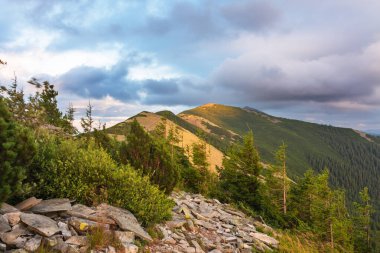 Gorgany 'de dramatik bir gökyüzü olan Ukrayna Karpatlarının güzel yaz manzaraları
