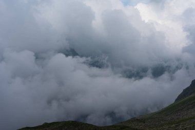 Sisli, yüksek Tatra Dağları 'nda ağaçlarla kaplı yaz ormanı.