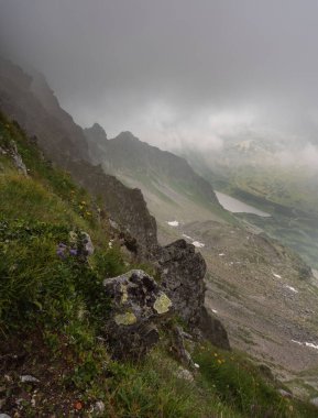Sisli, yüksek Tatra Dağları 'nda ağaçlarla kaplı yaz ormanı.