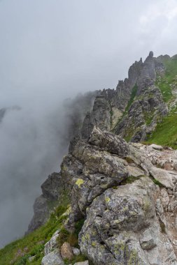 Sisli, yüksek Tatra Dağları 'nda ağaçlarla kaplı yaz ormanı.