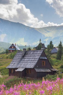 Yaz mevsiminde dağlık gölleri ve resimli evleri olan Polonya Lisesi 'nin güzel manzarası.