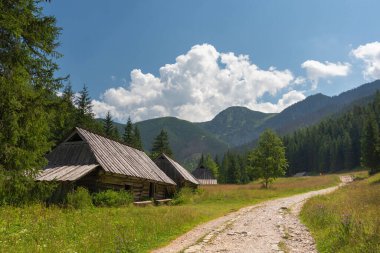 Yaz mevsiminde dağlık gölleri ve resimli evleri olan Polonya Lisesi 'nin güzel manzarası.