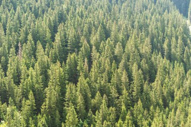 Yaz mevsiminde dağlık gölleri ve resimli evleri olan Polonya Lisesi 'nin güzel manzarası.