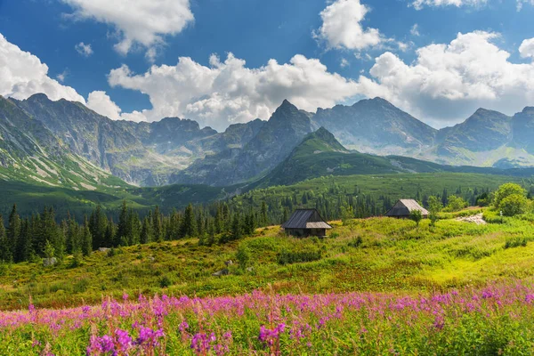 Beautiful Views Polish High Tatras Mountain Lakes Picturesque Houses Summer — Zdjęcie stockowe