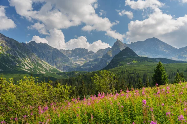 Hermosas Vistas Los Altos Tatras Polacos Con Lagos Montaña Pintorescas —  Fotos de Stock