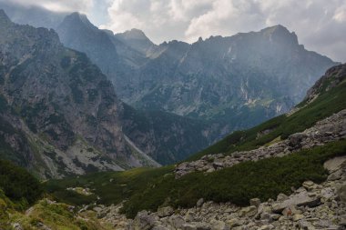 Sisli, yüksek Tatra Dağları 'nda ağaçlarla kaplı yaz ormanı.