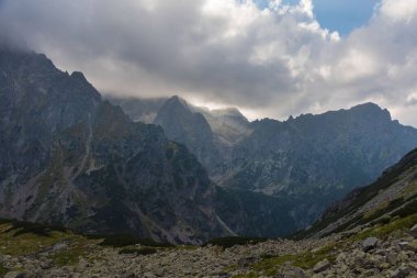 Sisli, yüksek Tatra Dağları 'nda ağaçlarla kaplı yaz ormanı.