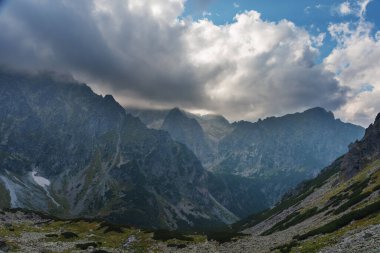 Sisli, yüksek Tatra Dağları 'nda ağaçlarla kaplı yaz ormanı.