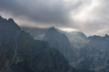 Sisli, yüksek Tatra Dağları 'nda ağaçlarla kaplı yaz ormanı.