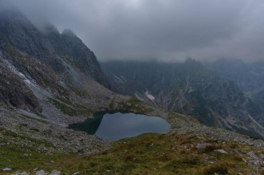 Sisli, yüksek Tatra Dağları 'nda ağaçlarla kaplı yaz ormanı.