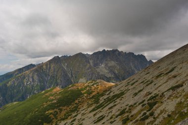 Sisli, yüksek Tatra Dağları 'nda ağaçlarla kaplı yaz ormanı.