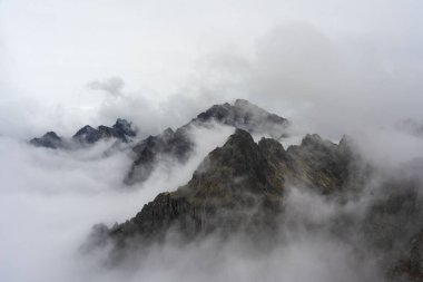 Sisli, yüksek Tatra Dağları 'nda ağaçlarla kaplı yaz ormanı.