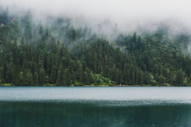 Sisli, yaz ormanı ve yüksek Tatras Dağları 'ndaki göller