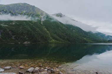 Sisli, yaz ormanı ve yüksek Tatras Dağları 'ndaki göller