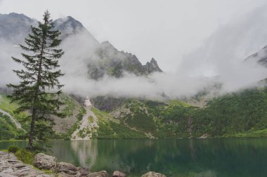 Sisli, yaz ormanı ve yüksek Tatras Dağları 'ndaki göller
