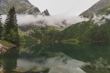 Sisli, yaz ormanı ve yüksek Tatras Dağları 'ndaki göller