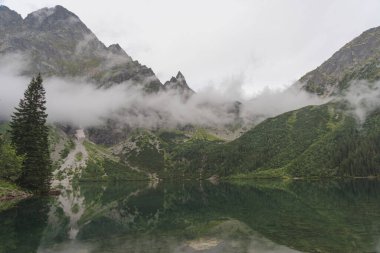 Sisli, yaz ormanı ve yüksek Tatras Dağları 'ndaki göller