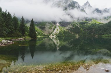 Sisli, yaz ormanı ve yüksek Tatras Dağları 'ndaki göller