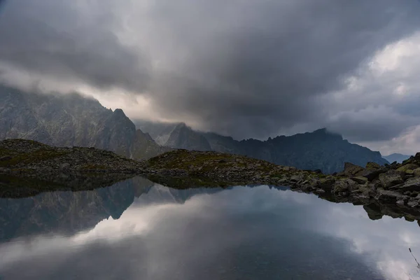 Sisli Yüksek Tatra Dağları Nda Ağaçlarla Kaplı Yaz Ormanı — Stok fotoğraf