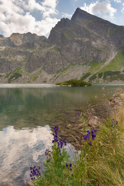 Sisli, yaz ormanı ve yüksek Tatras Dağları 'ndaki göller