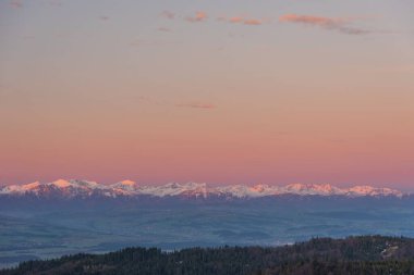 İlkbahar çayırlarından çiçeklerle ve otlarla kaplı karla kaplı dağların güzel manzarası